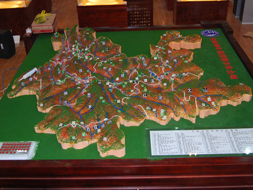 中藥分布沙盤(pán)模型