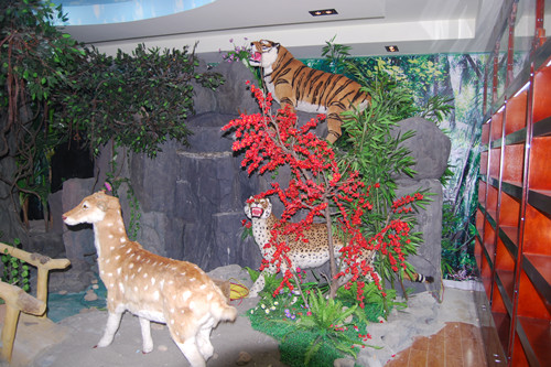 動(dòng)物園微縮假山模型