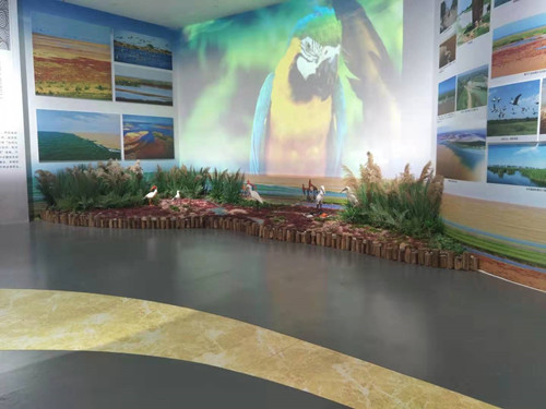 黃河三角洲濕地模型